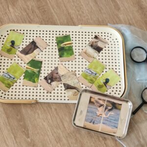 River Life Magnet Bundle