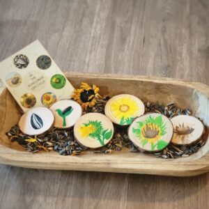 Sunflower Life-cycle Tiles