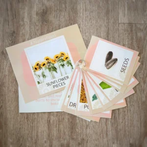 Sunflower Pieces - Single Activity