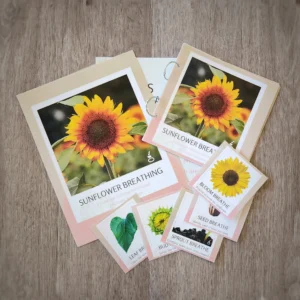 Sunflower Breathing - Single Activity