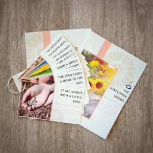 Sunflower Action Cards - Single Activity