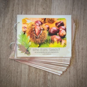 Who Eats Seeds? - Single Activity