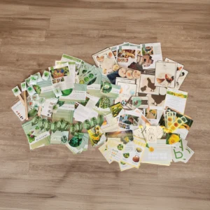 Early Explorers Subscription Box