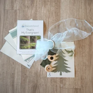 Winter Trees Loose Parts Set