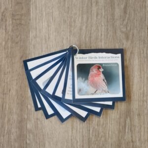 Bird Interaction Set