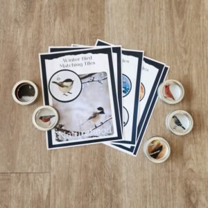 Winter Bird Matching Tiles