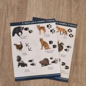 Backyard Track Checklist