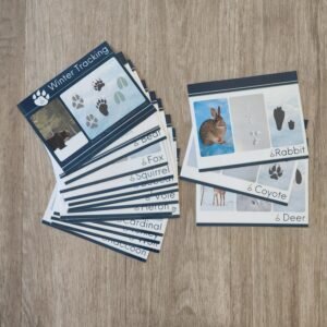 Winter Animal Tracks - ID cards