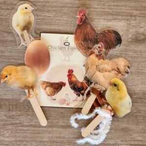 Chicken Families - Little Learners