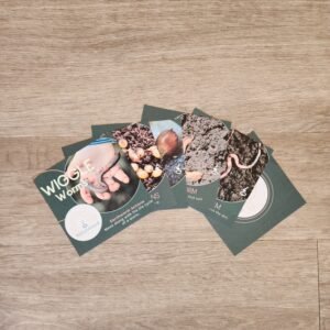 Worm Action/Yoga Cards - Early Explorers