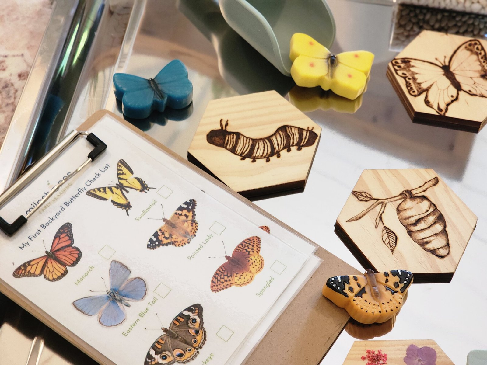 Backyard Butterfly and Moth Checklist - FREEBIE ALERT - Image 2