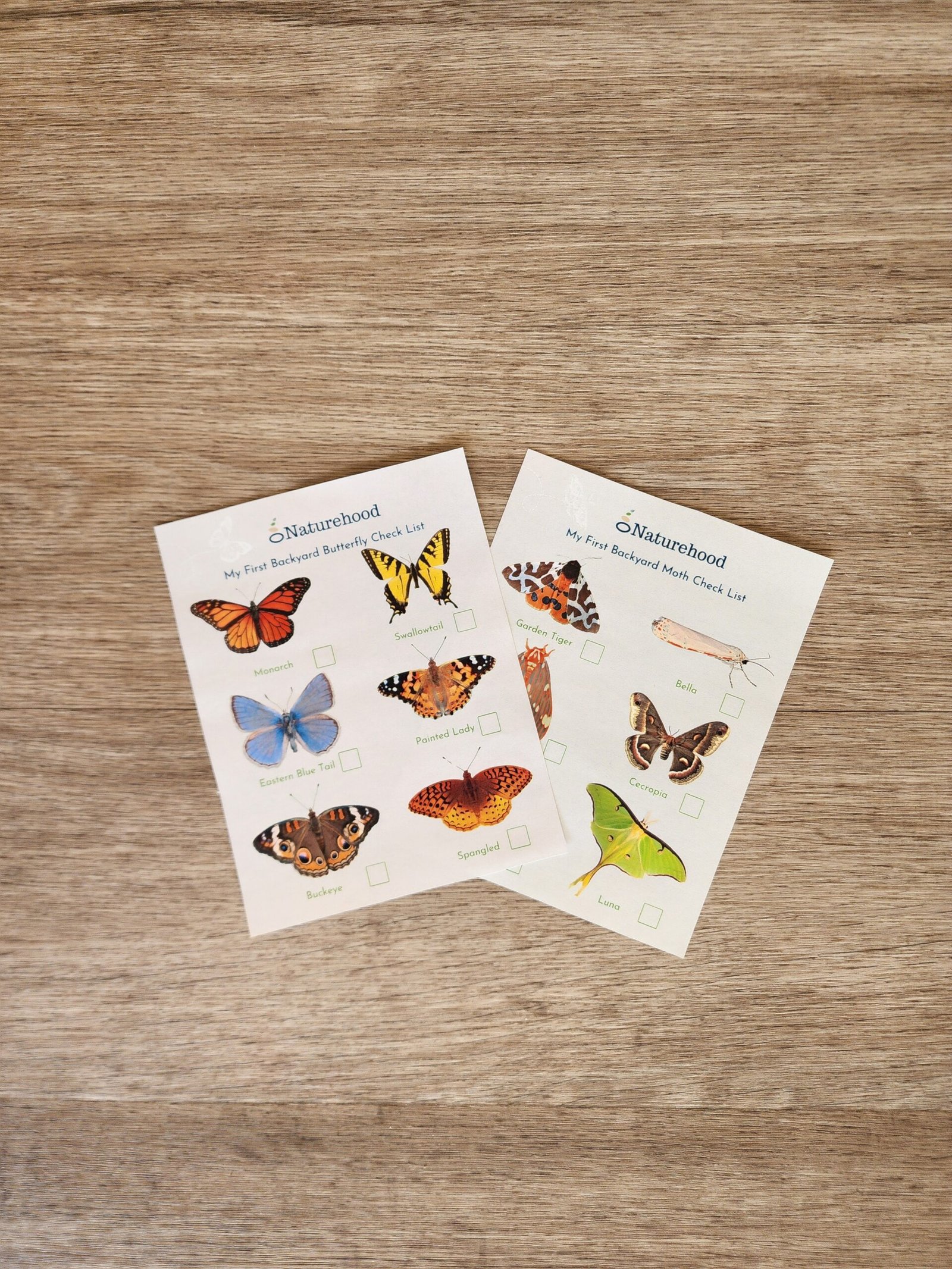 Backyard Butterfly and Moth Checklist - FREEBIE ALERT