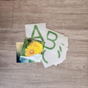 Dandelion Letters- Early Explorers