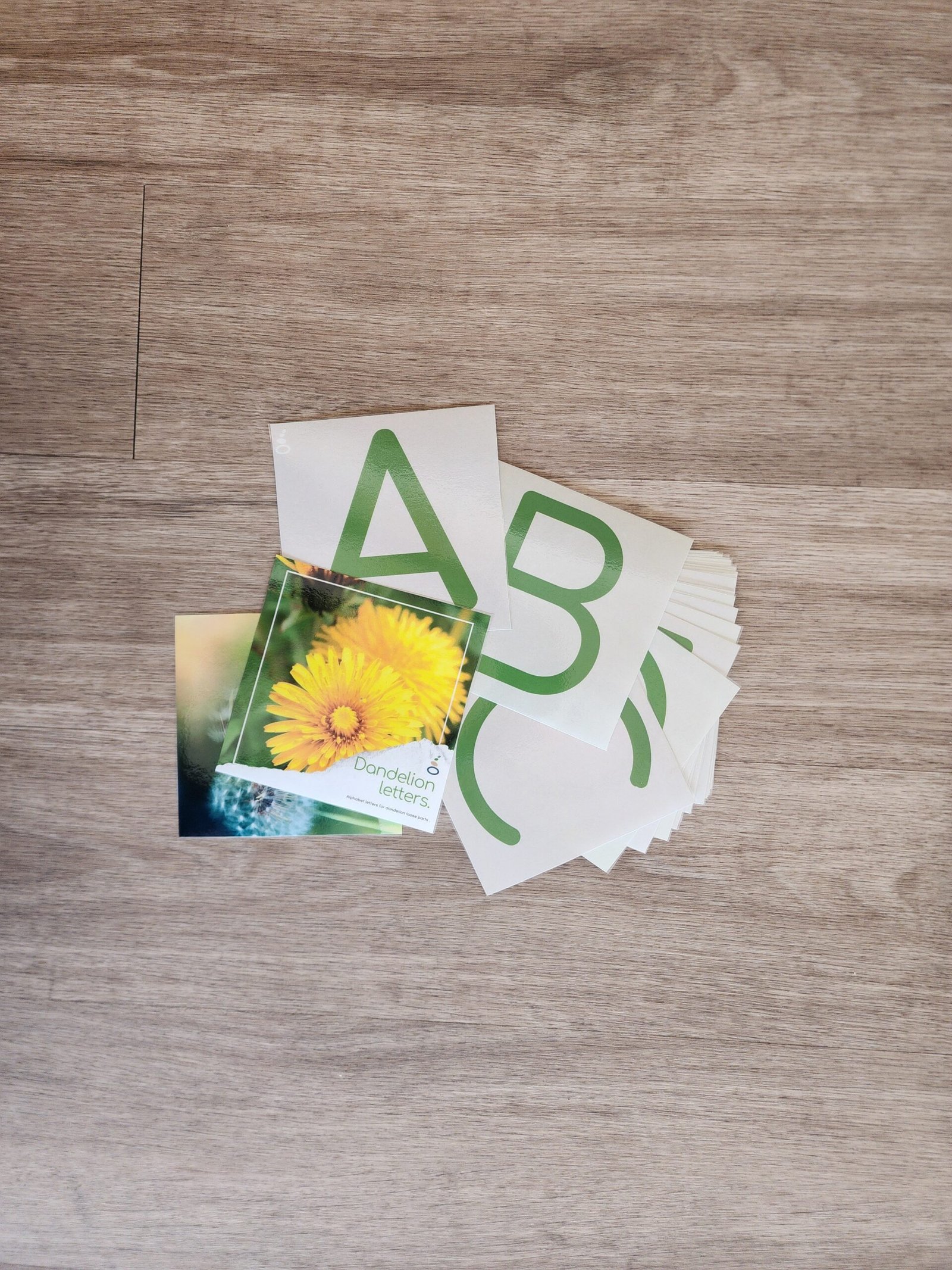 Dandelion Letters- Early Explorers