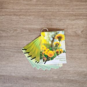 Dandelion Pieces - Early Explorers