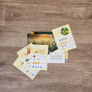 Dandelion Recipe Set - Early Explorers