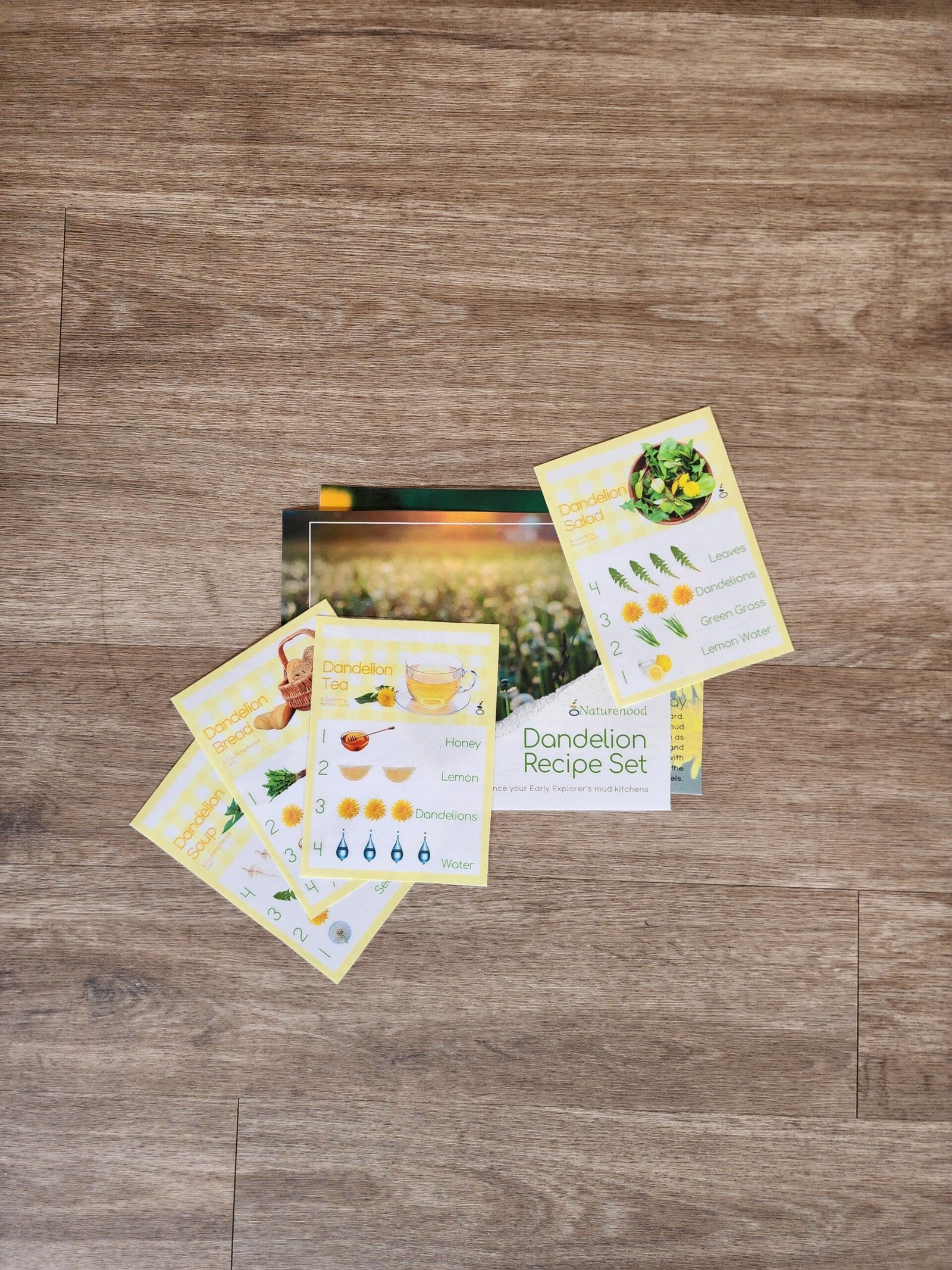 Dandelion Recipe Set - Early Explorers