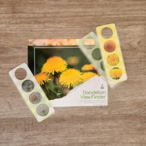 Dandelion View Finders - Early Explorers