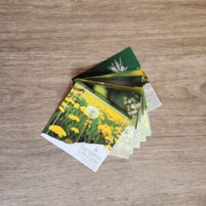 Dandelion Yoga - Early Explorers