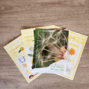 Dandelion Recipe and Label Set -Little Learners