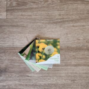Dandelion Yoga - Little Learners