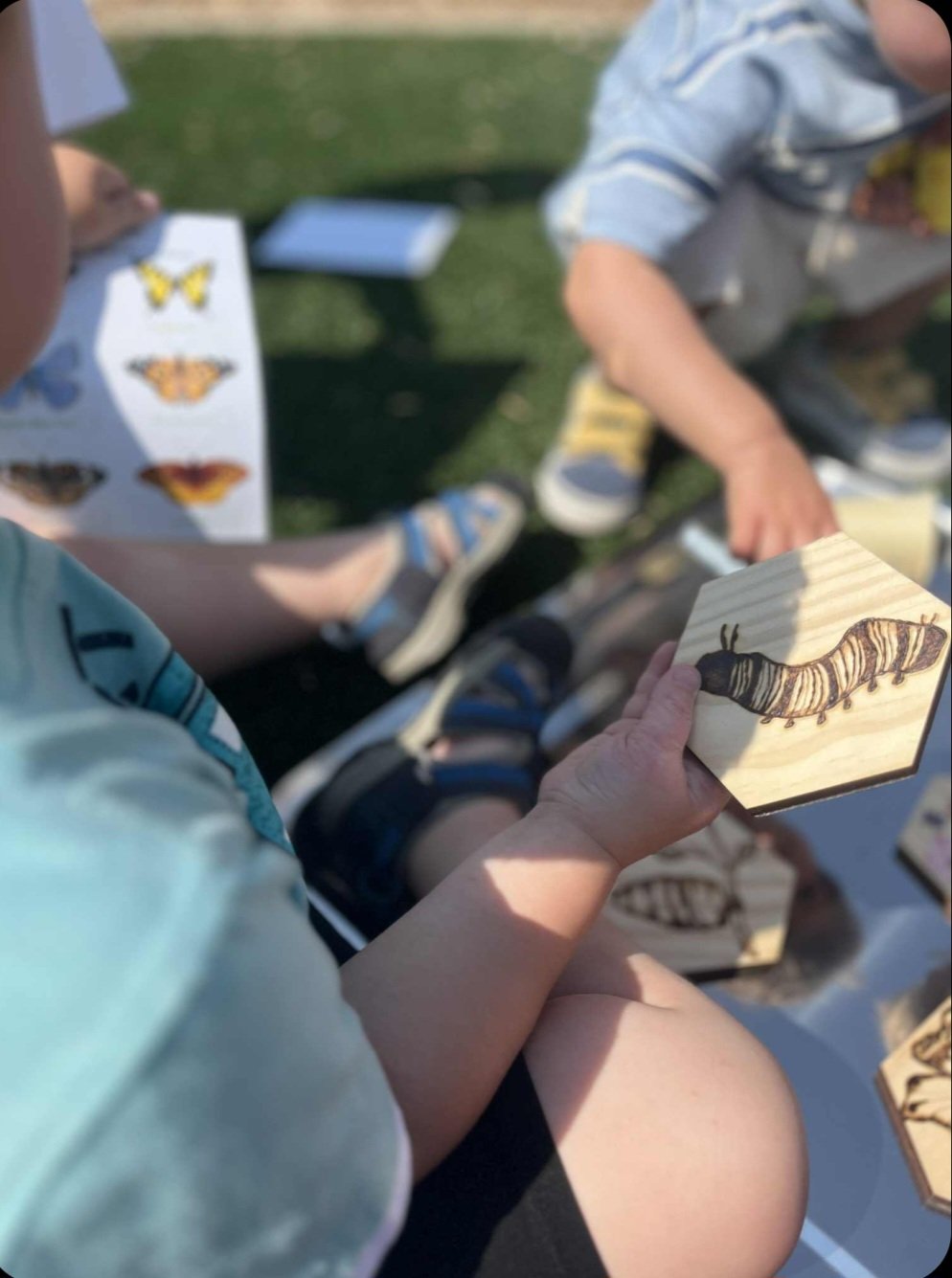 Backyard Butterfly and Moth Checklist - FREEBIE ALERT - Image 3