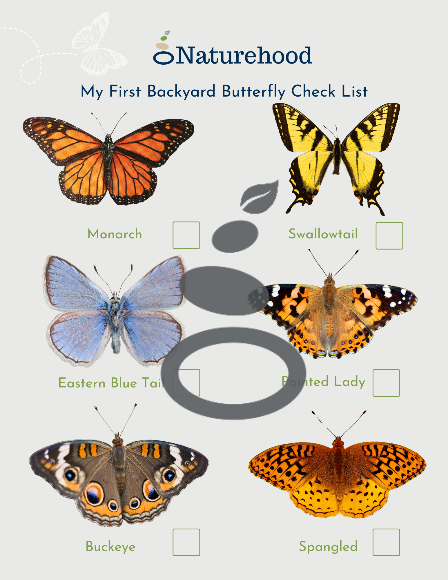 Backyard Butterfly and Moth Checklist - FREEBIE ALERT - Image 5
