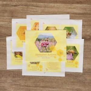 Honeybee Action/Yoga Cards - Early Explorers