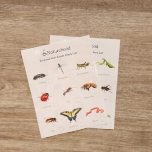 Backyard Mini Beasts Checklist