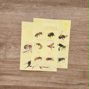Backyard Bees and Imposter Checklist