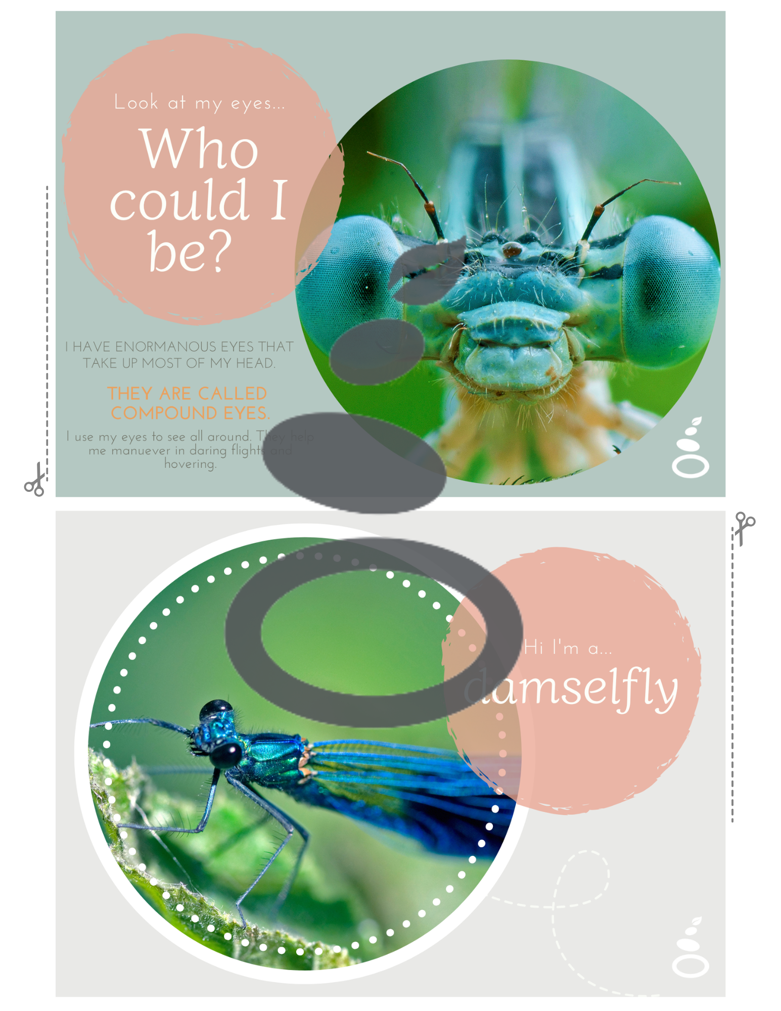 "Who Could I Be?" - Mini Beast Booklet - Image 2