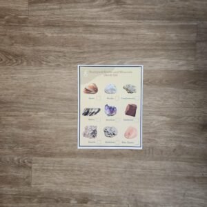 Backyard Rock Checklist - Early Explorers