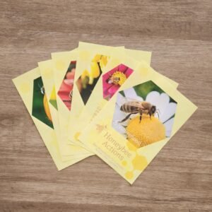 Honeybee Yoga/Action Cards - Little Learners