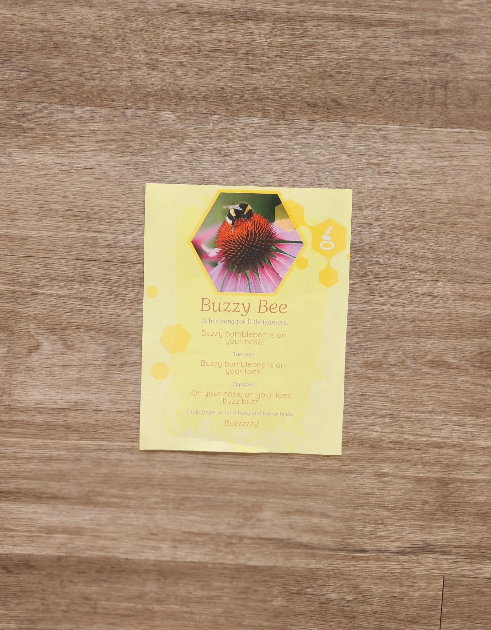 Buzzy Bee Song - Honeybee