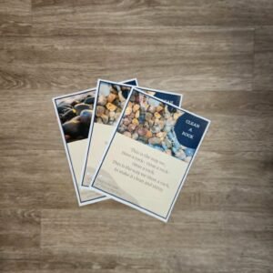 "Clean a Rock" Naturehood Song - FREEBIE ALERT