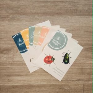 Mini Beast Images - Little Learners