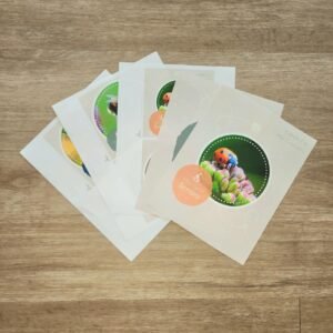 Mini Beast Senses Cards