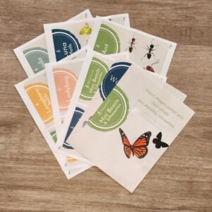 "Mini Beasts and Their Silhouettes" - Art Card Set