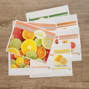 Lemonade Citrus Colors - Little Learners