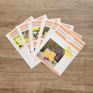 Lemonade Action Card Set - Little Learners
